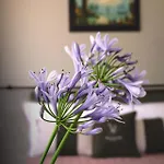Zane Bed & Breakfast Treviso