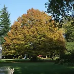 Bed & Breakfast Zane Treviso