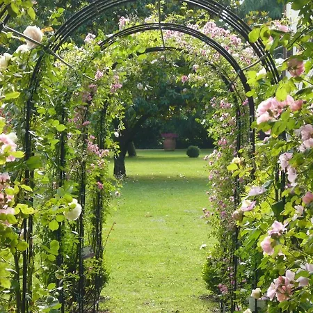 Zane Bed & Breakfast 2*