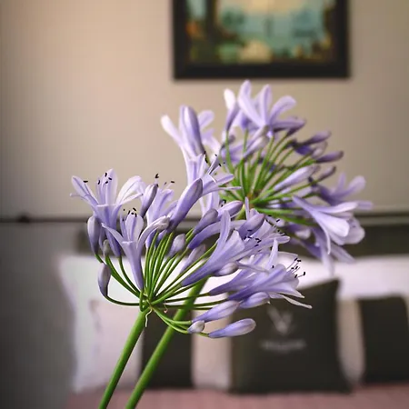 Zane Bed & Breakfast Treviso