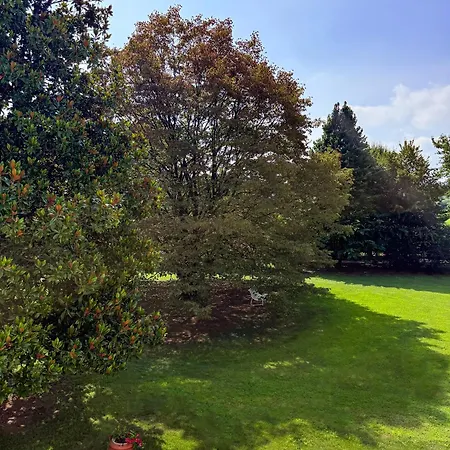 Bed & Breakfast Zane Treviso