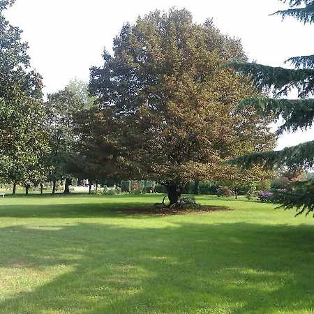 Zane Bed & Breakfast