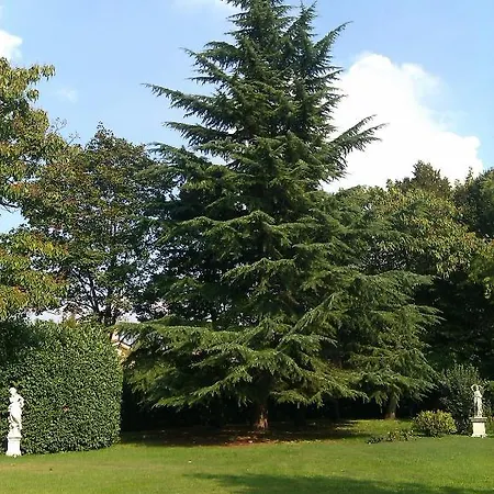 Zane Bed & Breakfast 2*