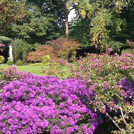 Zane Bed & Breakfast 2*