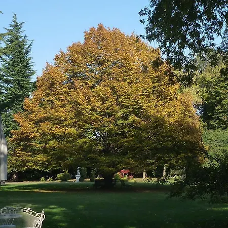 住宿加早餐酒店 Zane 特雷维索