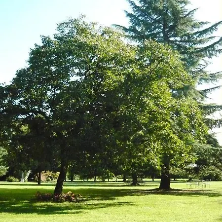 Panzió Zane Treviso