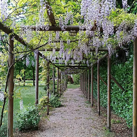 住宿加早餐酒店 Zane 2*