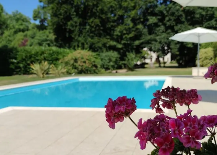 Bed & Breakfast Zane Treviso