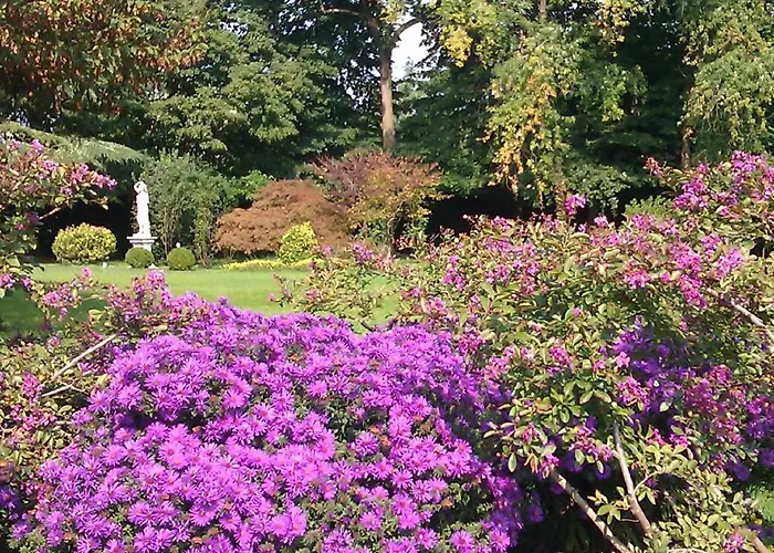 Zane Bed & Breakfast 2*